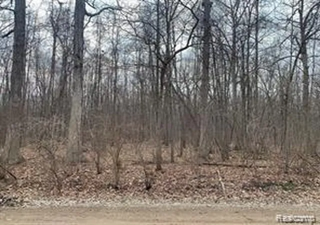 Photo 1 of Land for sale at 44235 Wear Rd, Belleville, MI 48111 | MLS# 20251059081 | Listing updated on 2026-09-01