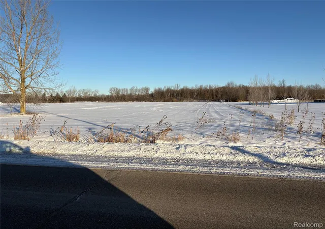 Homes for sale in Richmond, MI | 32 Mile Rd, Richmond, MI 48062 | MLS# 20251059389