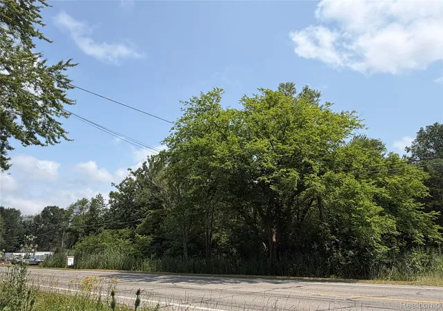 5th image of 0000 Huron River Dr, Belleville, MI 48111 | MLS# 20251059449