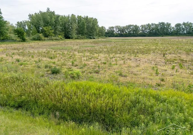 Photo 2 of Land for sale at Parcel B 256 Acres N Ctr Rd, Kochville Township Saginaw, MI 48604 | MLS# 61050195966 | Listing updated on 2026-07-15
