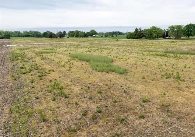 Photo 4 of Land for sale at Parcel B 256 Acres N Ctr Rd, Kochville Township Saginaw, MI 48604 | MLS# 61050195966 | Listing updated on 2026-07-15