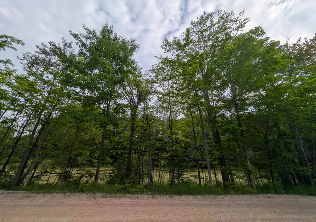 15th image of 20047 Davis Lake Rd, Traverse City, MI 49684 | MLS# 78080064335