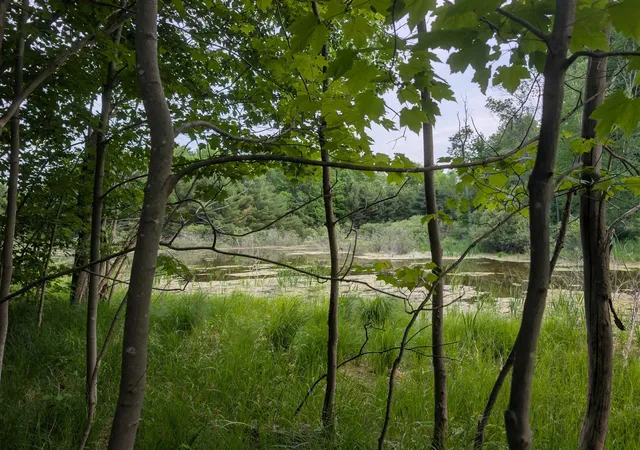 1st image of 20047 Davis Lake Rd, Traverse City, MI 49684 | MLS# 78080064335