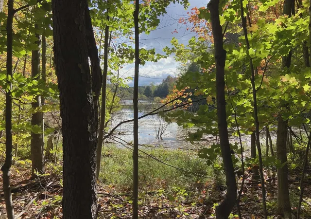 2nd image of 20047 Davis Lake Rd, Traverse City, MI 49684 | MLS# 78080064335