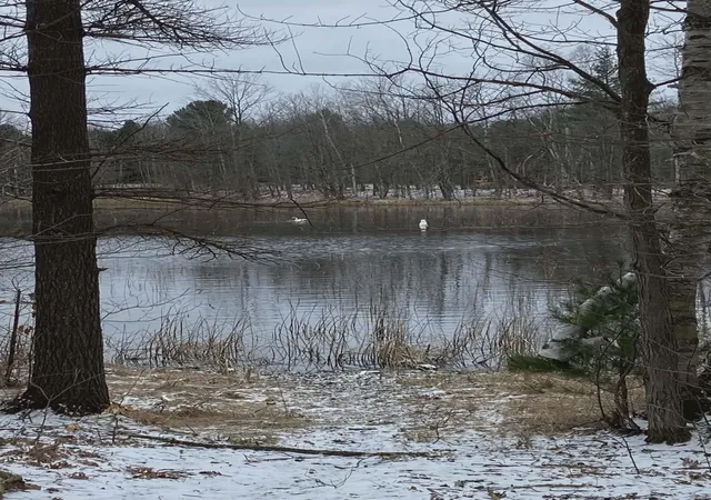 3rd image of 20047 Davis Lake Rd, Traverse City, MI 49684 | MLS# 78080064335