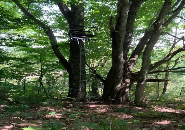 5th image of 20047 Davis Lake Rd, Traverse City, MI 49684 | MLS# 78080064335