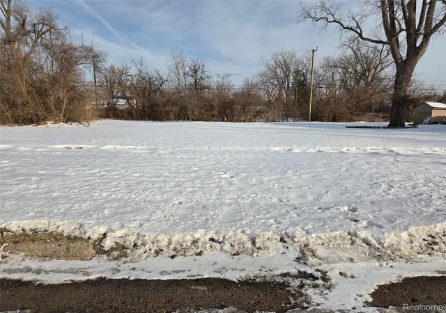 Photo 1 of Land for sale at 3607 Harrison St, Inkster, MI 48141 | MLS# 20251060245 | Listing updated on 2026-09-01
