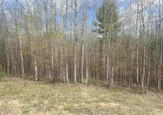 Photo 3 of Land for sale at 5479 Glendenning Trl, Williamsburg, MI 49690 | MLS# 78080064375 | Listing updated on 2026-06-18