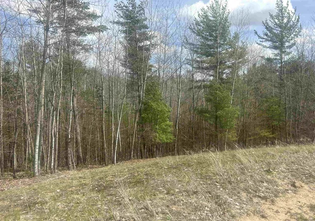 Photo 4 of Land for sale at 5479 Glendenning Trl, Williamsburg, MI 49690 | MLS# 78080064375 | Listing updated on 2026-06-18
