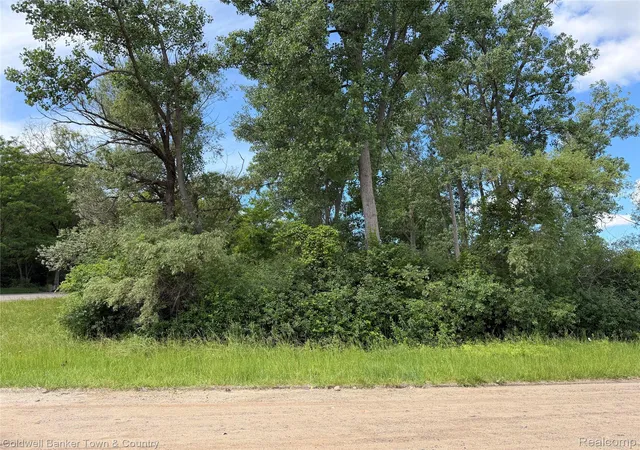 Photo 2 of Land for sale at 0 Ben Hur Dr, Brighton City Livingston, MI 48114 | MLS# 20251061053 | Listing updated on 2026-08-26