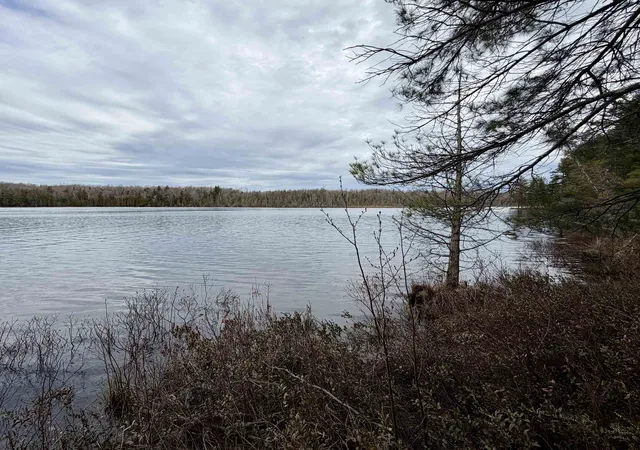 2nd image of Tbd Whitetail Trl, Peaine Township Charlevoix, MI 49782 | MLS# 78080064487