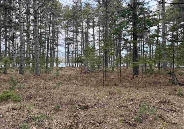 30th image of Tbd Whitetail Trl, Peaine Township Charlevoix, MI 49782 | MLS# 78080064487
