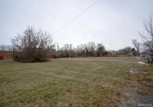 Photo 3 of Land for sale at 1173 Concord St, Detroit, MI 48207 | MLS# 20251061361 | Listing updated on 2026-06-29