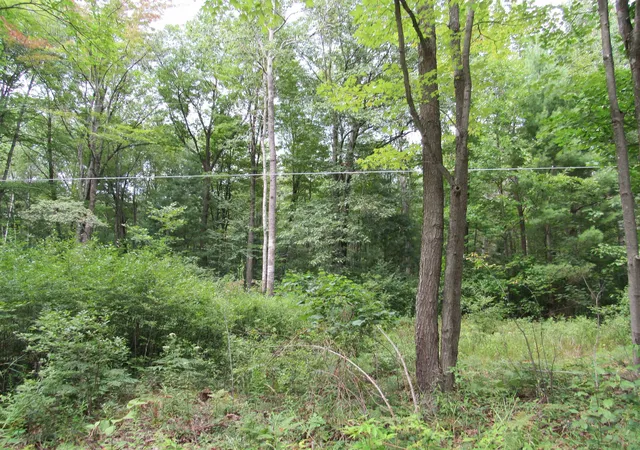 1st image of 00 Duby Rd, Tawas City, MI 48763 | MLS# 77080064564