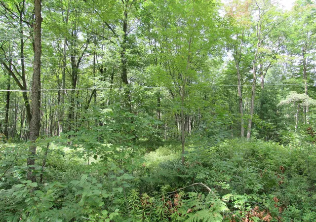 2nd image of 00 Duby Rd, Tawas City, MI 48763 | MLS# 77080064564