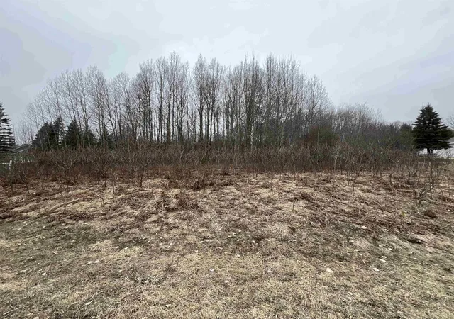 Photo 1 of Land for sale at Lot 19 Crestview Dr, Cadillac, MI 49601 | MLS# 78080064602 | Listing updated on 2026-04-01