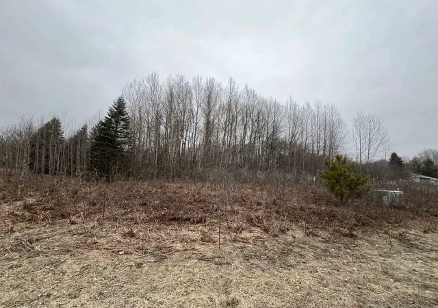 Photo 2 of Land for sale at Lot 19 Crestview Dr, Cadillac, MI 49601 | MLS# 78080064602 | Listing updated on 2026-04-01