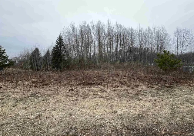 Photo 3 of Land for sale at Lot 19 Crestview Dr, Cadillac, MI 49601 | MLS# 78080064602 | Listing updated on 2026-04-01