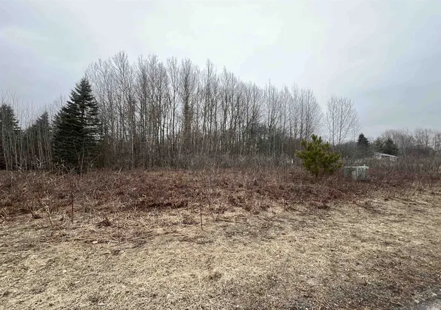 Photo 3 of Land for sale at Lot 19 Crestview Dr, Cadillac, MI 49601 | MLS# 78080064602 | Listing updated on 2026-04-01