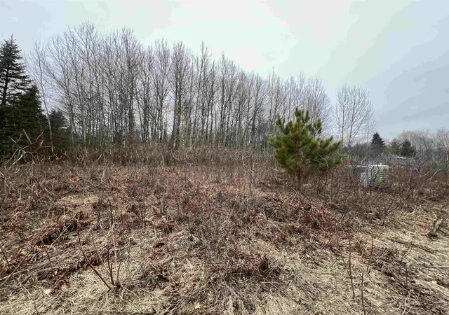 Photo 4 of Land for sale at Lot 19 Crestview Dr, Cadillac, MI 49601 | MLS# 78080064602 | Listing updated on 2026-04-01