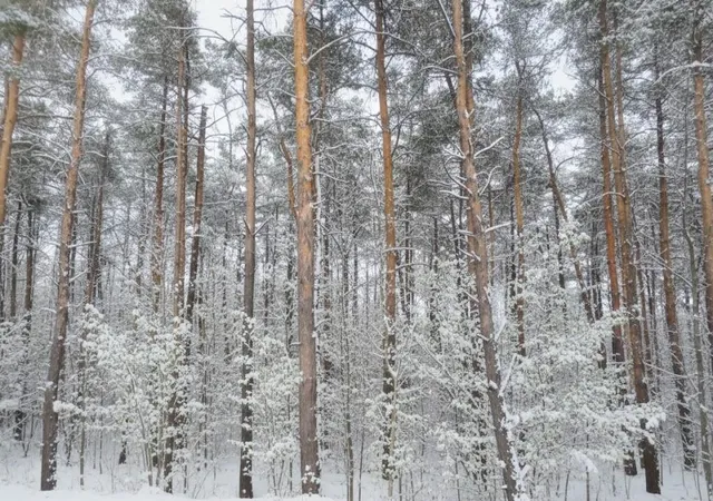 15th image of River Rd, Paradise Township Grand Traverse, MI 49649 | MLS# 78080064603