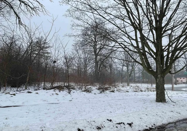 Photo 2 of Land for sale at 1339 Mott St, Saginaw, MI 48601 | MLS# 61050196956 | Listing updated on 2026-08-03