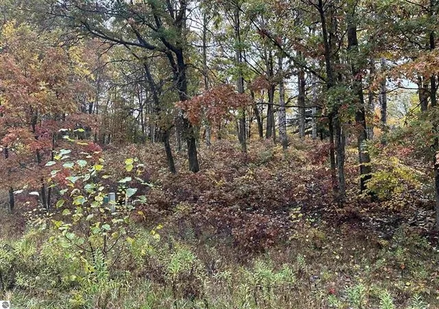 Photo 3 of Land for sale at Lot N #6 Cir E, Surrey Township Clare, MI 48622 | MLS# 79080064666 | Listing updated on 2026-09-03