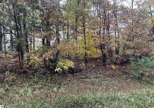 Photo 4 of Land for sale at Lot N #6 Cir E, Surrey Township Clare, MI 48622 | MLS# 79080064666 | Listing updated on 2026-09-03