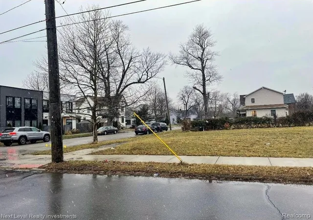 Photo 3 of Land for sale at 1000 Baldwin St, Detroit, MI 48214 | MLS# 20261001933 | Listing updated on 2026-07-24