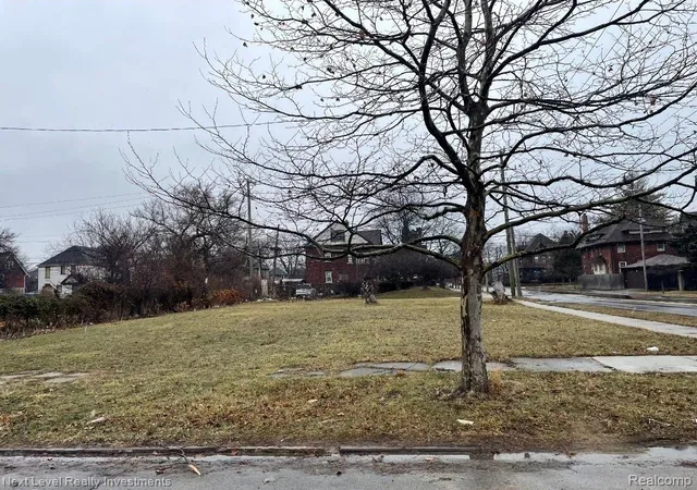 Photo 1 of Land for sale at 1000 Baldwin St, Detroit, MI 48214 | MLS# 20261001933 | Listing updated on 2026-07-24