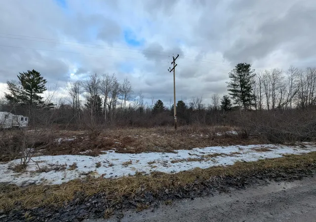 1st image of N/a Lehman Rd, Twining, MI 48766 | MLS# 77080064789