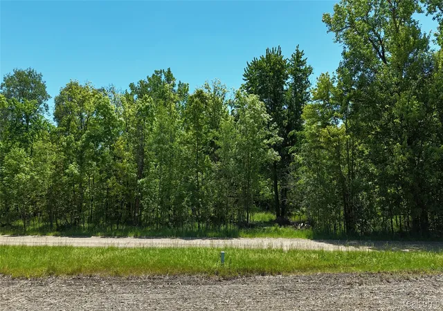 Photo 1 of Land for sale at 0 Williams Rd, Gaines, MI 48436 | MLS# 20261002440 | Listing updated on 2026-07-20