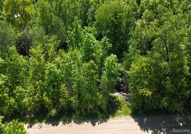 Photo 2 of Land for sale at 0 Williams Rd, Gaines, MI 48436 | MLS# 20261002440 | Listing updated on 2026-07-20