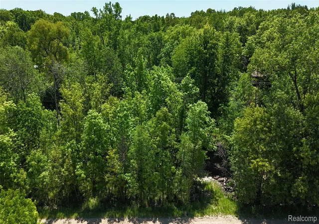 Photo 3 of Land for sale at 0 Williams Rd, Gaines, MI 48436 | MLS# 20261002440 | Listing updated on 2026-07-20