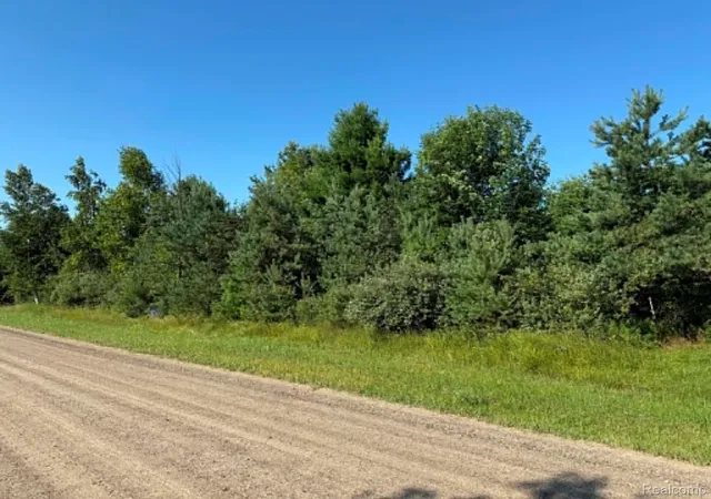 1st image of 0000 Bellaire Dr, Harbor Beach, MI 48441 | MLS# 20261002698