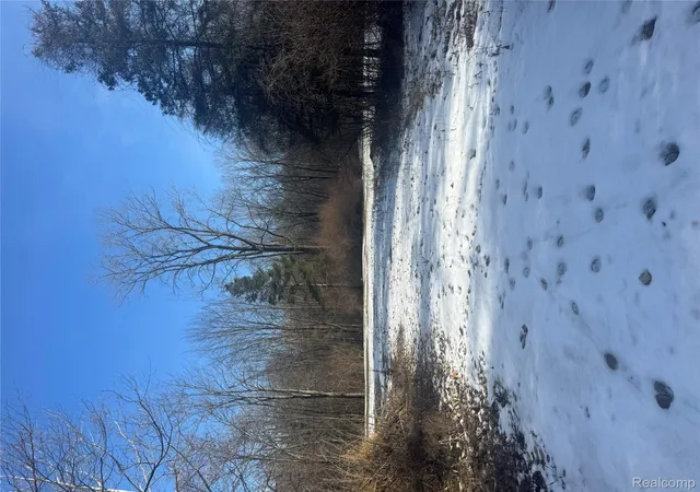 image of 14329 Linder Dr, Holly, MI 48442 | MLS# 20261002872