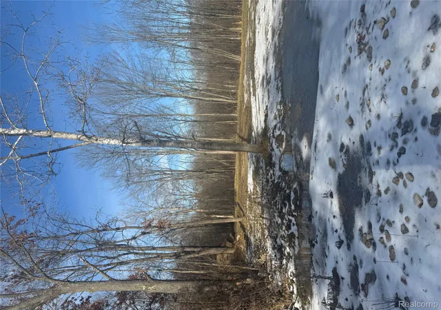 image of 14329 Linder Dr, Holly, MI 48442 | MLS# 20261002872