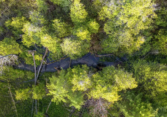 1st image of 00 Honor Hwy, Interlochen, MI 49643 | MLS# 78080064861