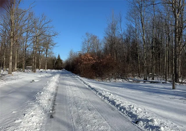 Photo 3 of Land for sale at 00 Smiths Crk Rd, Kimball Township St Clair, MI 48074 | MLS# 20261004033 | Listing updated on 2026-07-20