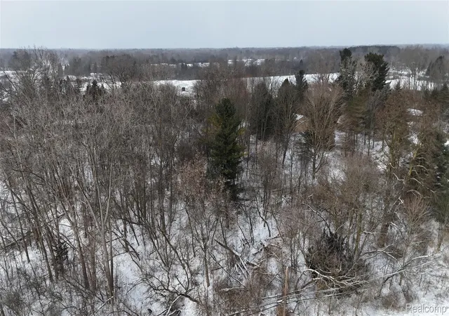 3rd image of 000 Davison Rd, Davison, MI 48423 | MLS# 20261004245