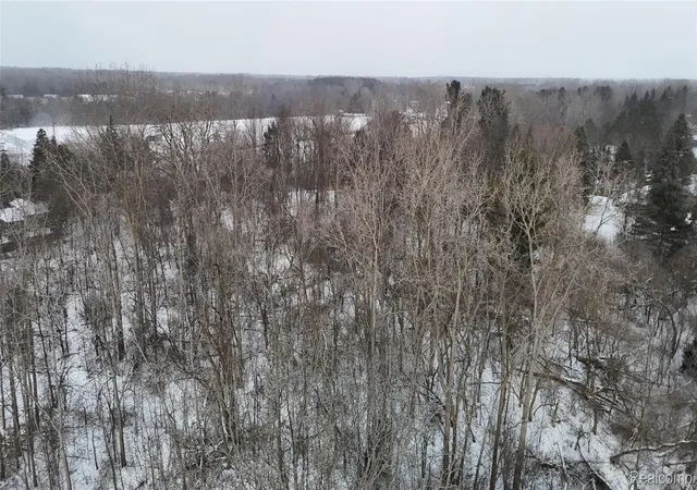 5th image of 000 Davison Rd, Davison, MI 48423 | MLS# 20261004245