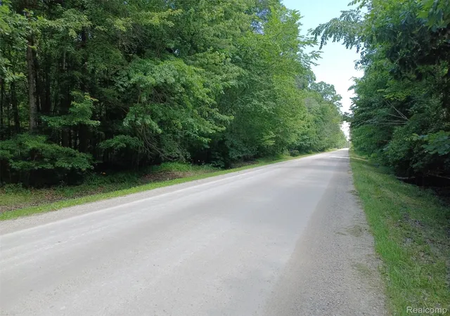 Photo 2 of Land for sale at 0 Lindsey Rd, China Township St Clair, MI 48054 | MLS# 20261004461 | Listing updated on 2026-09-09