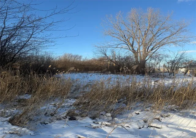 Photo 3 of Land for sale at Sublot 41 Charles, Clinton Township, MI 48036 | MLS# 20261004840 | Listing updated on 2026-07-06