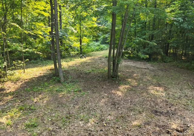 1st image of V/l Frushour Dr, Holly, MI 48442 | MLS# 20261005078