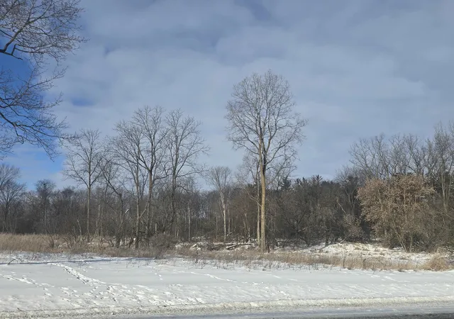 Homes for sale in Ithaca City Gratiot, MI | S Pine River Rd, Ithaca City Gratiot, MI 48847 | MLS# 79080065129