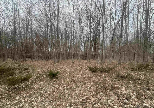 10th image of 00 Kilkenny Ln, Ellsworth, MI 49729 | MLS# 78080065130