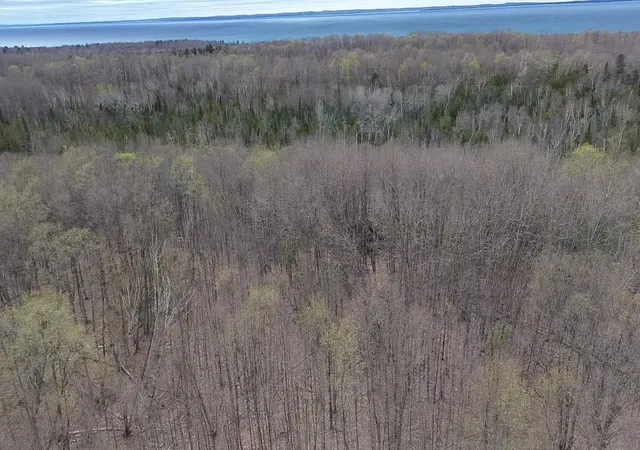 1st image of 00 Kilkenny Ln, Ellsworth, MI 49729 | MLS# 78080065130