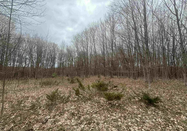 2nd image of 00 Kilkenny Ln, Ellsworth, MI 49729 | MLS# 78080065130