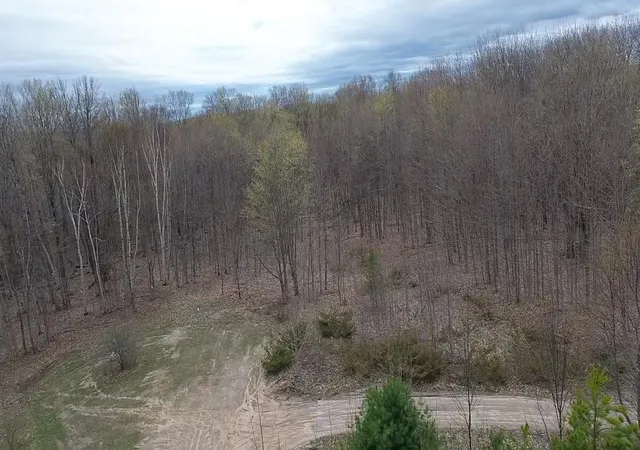 4th image of 00 Kilkenny Ln, Ellsworth, MI 49729 | MLS# 78080065130