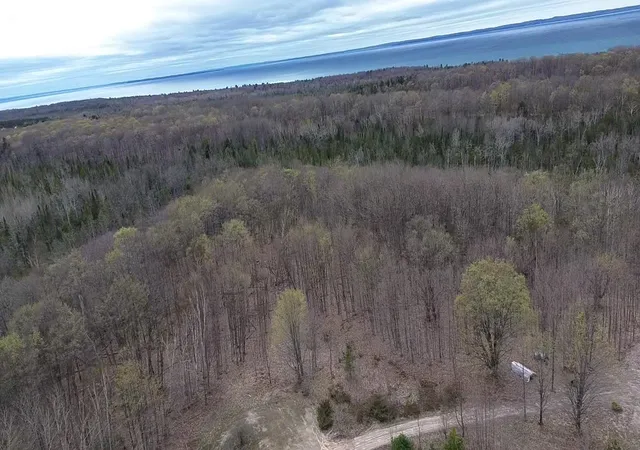 5th image of 00 Kilkenny Ln, Ellsworth, MI 49729 | MLS# 78080065130